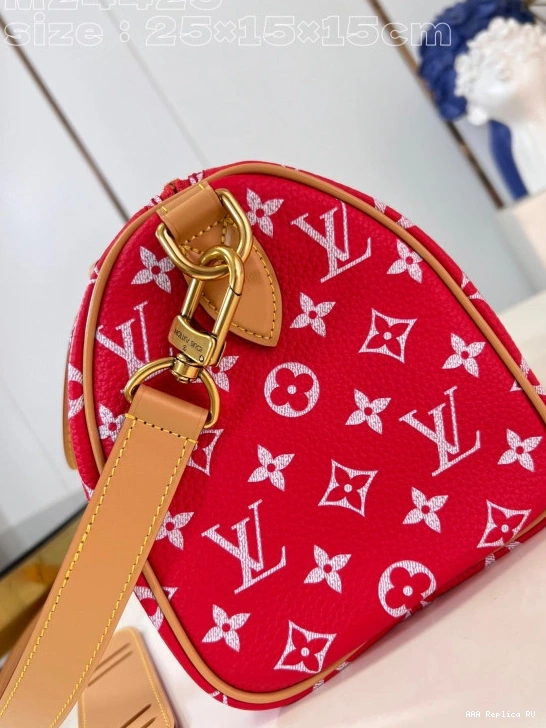 Aaa replica bags SPEEDY Vuitton Louis 25 0729